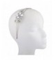 Lux Accessories Silvertone Crystal Headband