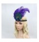 Aniwon Flapper Headband Rhinestone Decoration in Women's Headbands in Women's Hats & Caps