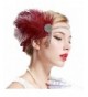 BABEYOND Vintage Headband Headpiece accessories - Wine Red - CV1838X8G7I
