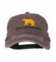 California Bear Embroidered Washed Cap