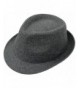 Men & Women's Classic Wool Blend Structured Fedora Hat - C.grey - CJ180CQ8GIA
