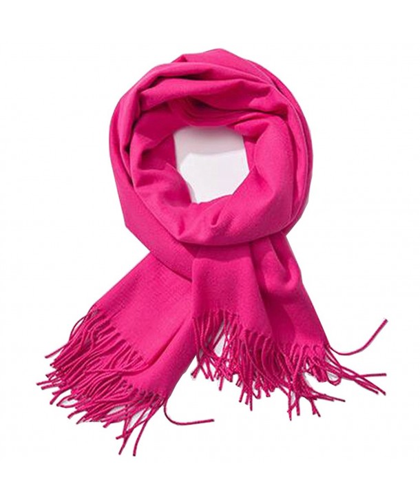 Soft Cashmere Feel Scarf- Bien-Zs Large Pashmina Shawls Wraps Winter Scarf for Women Men Gift - Pink - CI1880QKTCL