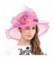 F&N STORY Kentucky Derby Church Wedding Hat Ascot Satin Organza Bowknot Dress Wedding Hat S039 - Pink - CM12BD56L2N