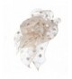 Junes Young Paillette Organza Champagne in Women's Sun Hats