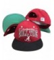 Alabama Crimson Tide Red/Black Snapback Adjustable Plastic Snap Back Hat / Cap - C3116AY7IKV