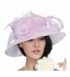 June's Young Fashion Women Hats Wide Brim Summer Sun Hat Beach Hat Organza - Pink - C111O9OCW79