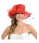 Elegant Women Lady Fascinator Church Kentucky Derby Voile Dress Hat W044 - Red - C5128DWDDPH
