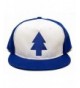 Dipper Flat Hat Blue Pine Tree Embroidered Movie Cap Adult One Size Royal/White - CZ12C6635X1