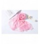 Womens Fashion Scarves Stylish Weight in Fashion Scarves