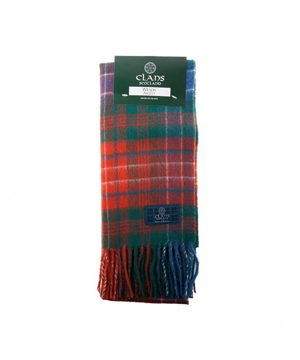 Clans Of Scotland Pure New Wool Scottish Tartan Scarf Wilson Ancient (One Size) - CR123H48IGP