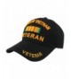 Disabled Vietnam Veteran Campaign Baseball