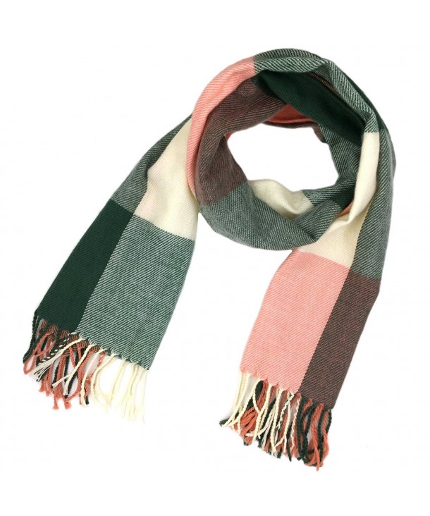 Tapp Collections Cashmere Feel Plaid and Check Tassel Ends Scarf - Pashmina Square / Carnation Green - CV128DQ2EPX