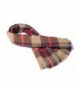 POSESHE Stylish Gorgeous Brown Red 2 in Fashion Scarves