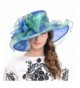 F&N STORY Ladies Kentucky Derby Church Hat Wide Brim Leaf Flower Bridal Dress Hat s037 - Navy&green - C012CV36IEH
