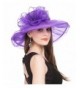 SAFERIN Women's Organza Church Kentucky Derby Fascinator Bridal Tea Party Wedding Hat - Purple With Bowknot - CX12DOD8SKF