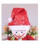 Sandistore Christmas Holiday Nonwoven Silver