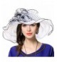 Womens Church Derby Hat Dot Sheer Wedding Dress Tea Party Hat - White - C717Y0KXZ8I
