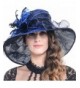 FORBUSITE Womens Glitter Embellished Kentucky Derby Church Wide Brim Hat S041 - Royal Blue - C012O0AI525