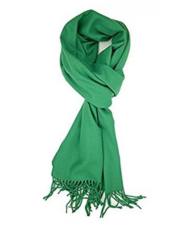 Classic Cashmere Feel Winter Scarf Super Soft Collection - Green - CY12NGIOLLH