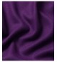 EBMORE Weight Bicycle Cashmere Purple in Fashion Scarves